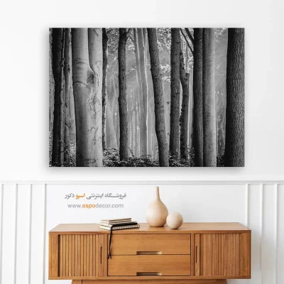تابلو برای پذیرایی - جنگل راش – تابلو سیاه و سفید - اسپو دکور