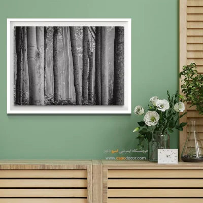 تابلو برای پذیرایی - جنگل راش – تابلو سیاه و سفید - اسپو دکور
