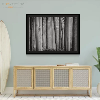تابلو برای پذیرایی - جنگل راش – تابلو سیاه و سفید - اسپو دکور