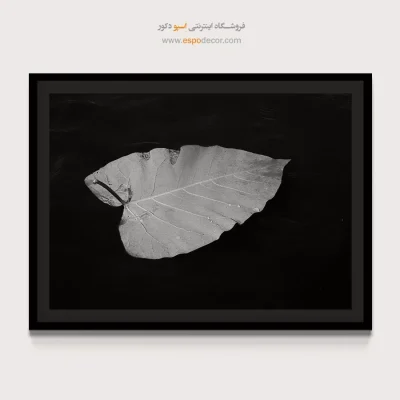 تابلو دکوراسیون حمام - جزیره سکوت – تابلو سیاه و سفید - اسپو دکور