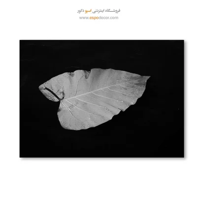 قیمت خرید تابلو اتاق خواب سیاه و سفید هدیه
