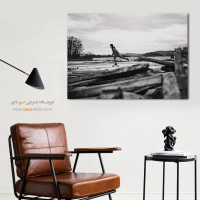 تابلو دکوراسیون اتاق نوجوان - پرواز در زمین – تابلو سیاه و سفید - اسپو دکور