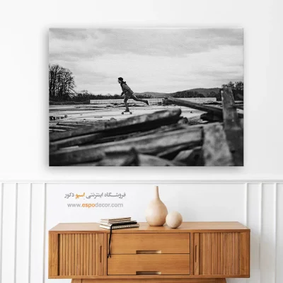 تابلو دکوراسیون اتاق نوجوان - پرواز در زمین – تابلو سیاه و سفید - اسپو دکور