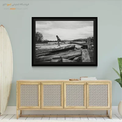 تابلو دکوراسیون اتاق نوجوان - پرواز در زمین – تابلو سیاه و سفید - اسپو دکور