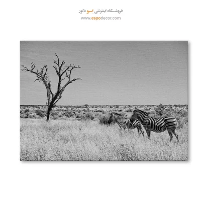 خرید تابلو مدرن سیاه و سفید دکوراسیون