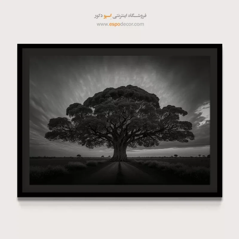 خرید تابلو چاپی سیاه و سفید ارزان