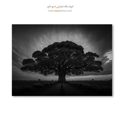خرید تابلو چاپی سیاه و سفید ارزان