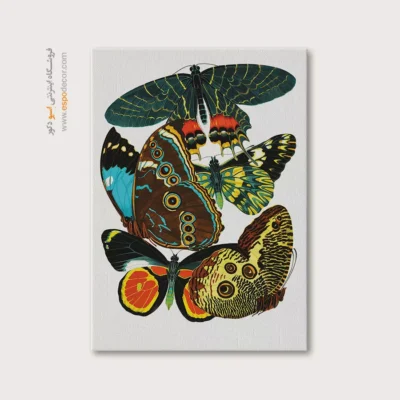 تابلو پروانه - اسپو دکور