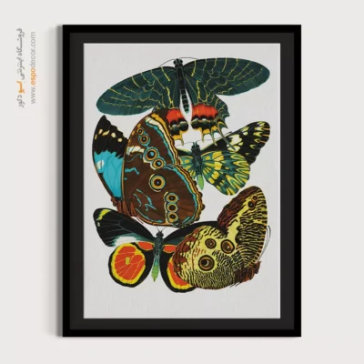 تابلو پروانه - اسپو دکور