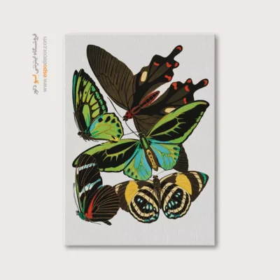 تابلو پروانه - اسپو دکور