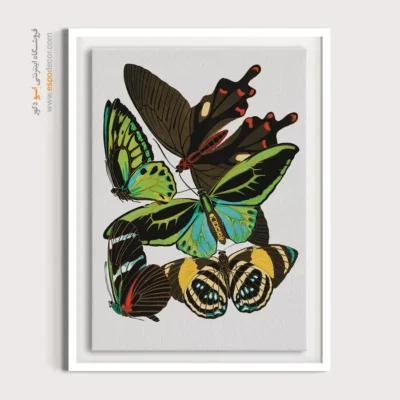 تابلو پروانه - اسپو دکور