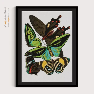 تابلو پروانه - اسپو دکور