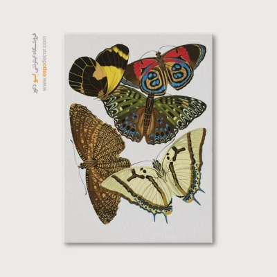 تابلو پروانه - اسپو دکور