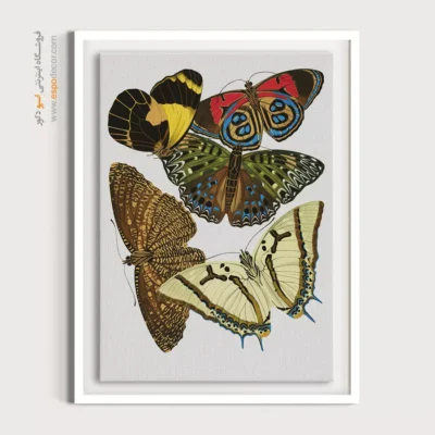 تابلو پروانه - اسپو دکور