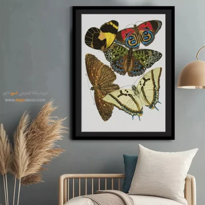تابلو پروانه - اسپو دکور