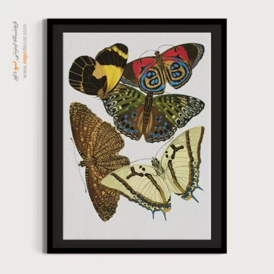 تابلو پروانه - اسپو دکور