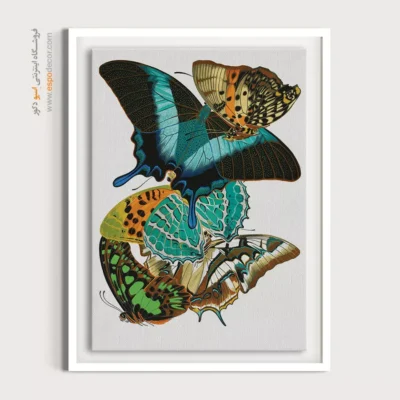 تابلو پروانه - اسپو دکور