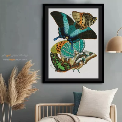 تابلو پروانه - اسپو دکور