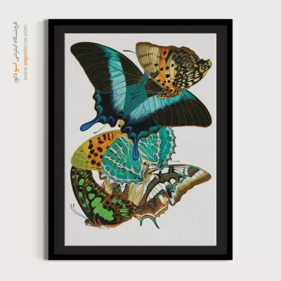 تابلو پروانه - اسپو دکور