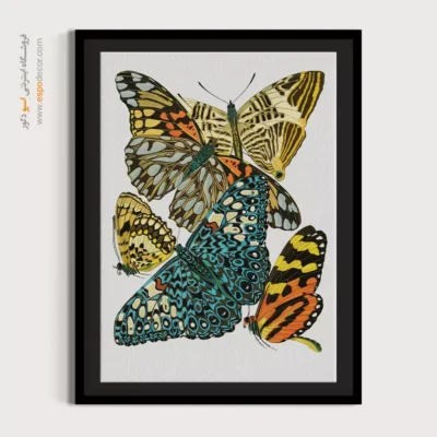تابلو پروانه - اسپو دکور
