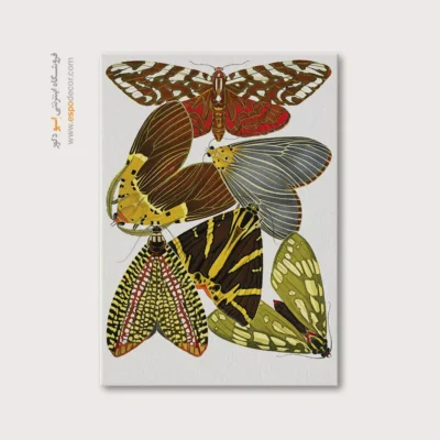 تابلو پروانه - اسپو دکور