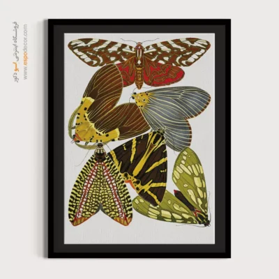 تابلو پروانه - اسپو دکور