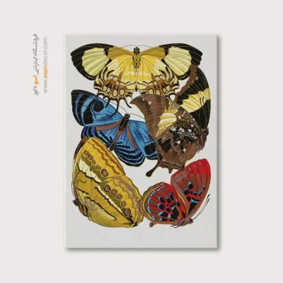 تابلو پروانه - اسپو دکور