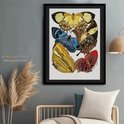 تابلو پروانه - اسپو دکور