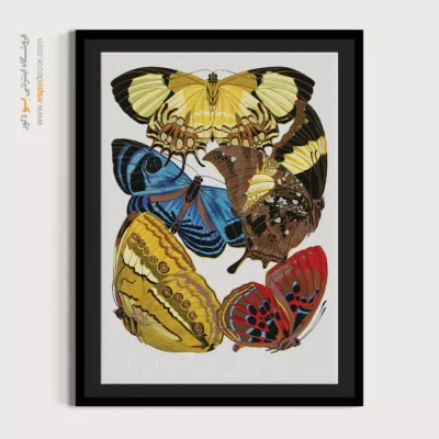 تابلو پروانه - اسپو دکور