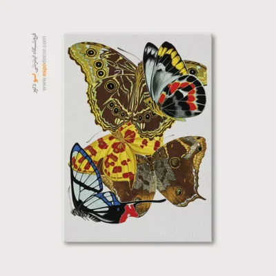 تابلو پروانه - اسپو دکور