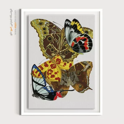 تابلو پروانه - اسپو دکور