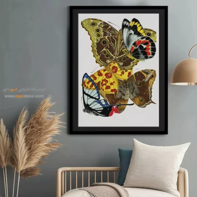تابلو پروانه - اسپو دکور