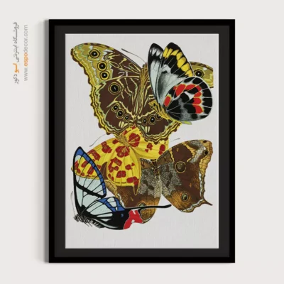 تابلو پروانه - اسپو دکور