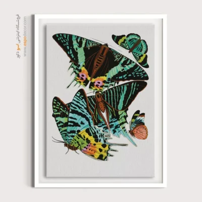 تابلو پروانه - اسپو دکور