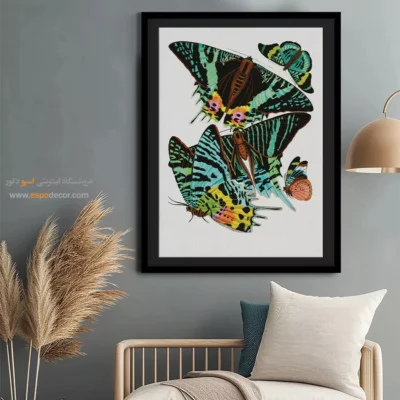 تابلو پروانه - اسپو دکور