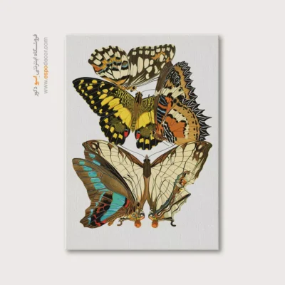 تابلو پروانه - اسپو دکور