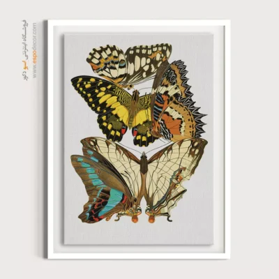 تابلو پروانه - اسپو دکور