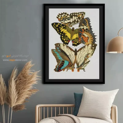 تابلو پروانه - اسپو دکور