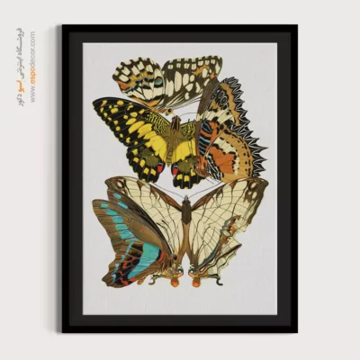 تابلو پروانه - اسپو دکور