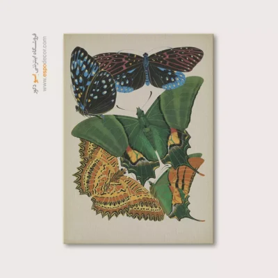 تابلو پروانه - اسپو دکور
