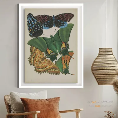 تابلو پروانه - اسپو دکور