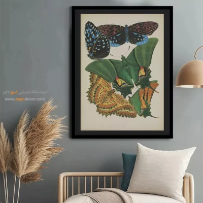 تابلو پروانه - اسپو دکور