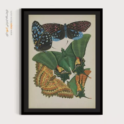 تابلو پروانه - اسپو دکور