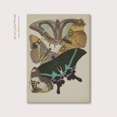 تابلو پروانه - اسپو دکور