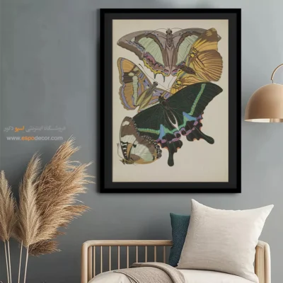 تابلو پروانه - اسپو دکور