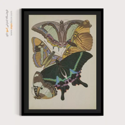 تابلو پروانه - اسپو دکور