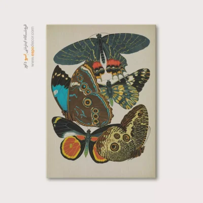 تابلو پروانه - اسپو دکور