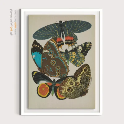 تابلو پروانه - اسپو دکور