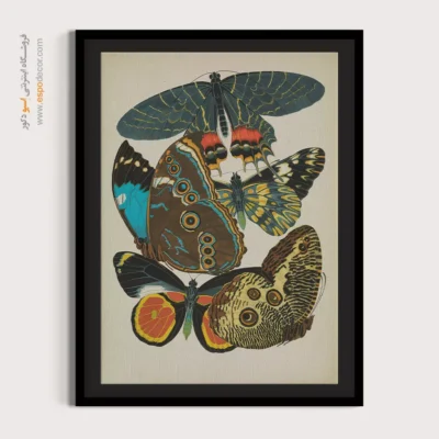 تابلو پروانه - اسپو دکور