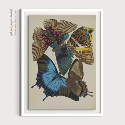 تابلو پروانه - اسپو دکور